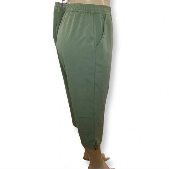 Emily Daniels Crop Pants Size Medium NWT - Picture 2 of 5